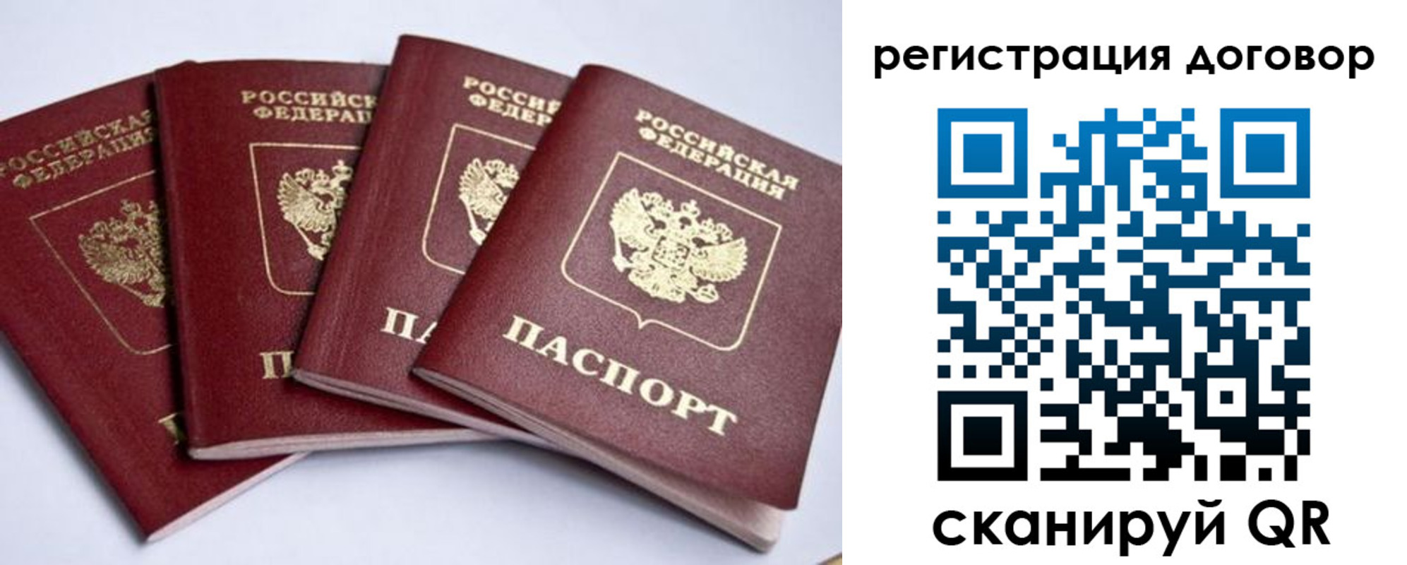 прописка поиск в Новомосковске